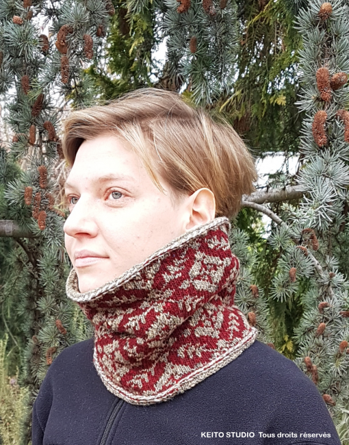 col en jacquard norvégien bordeaux et vert
